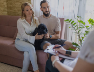trusted dog physical therapist
